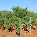 With Parking Space Zaglav, Dugi Otok - 8163 Appartamento Sali
