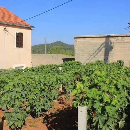 With Parking Space Zaglav, Dugi Otok - 8163 Sali