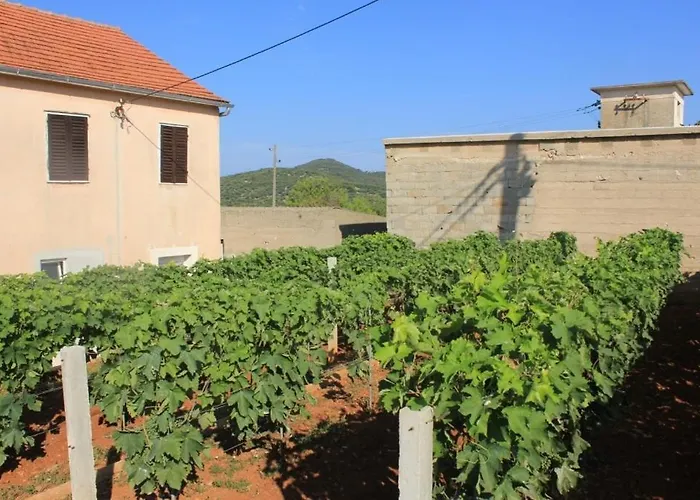 With Parking Space Zaglav, Dugi Otok - 8163 Сали