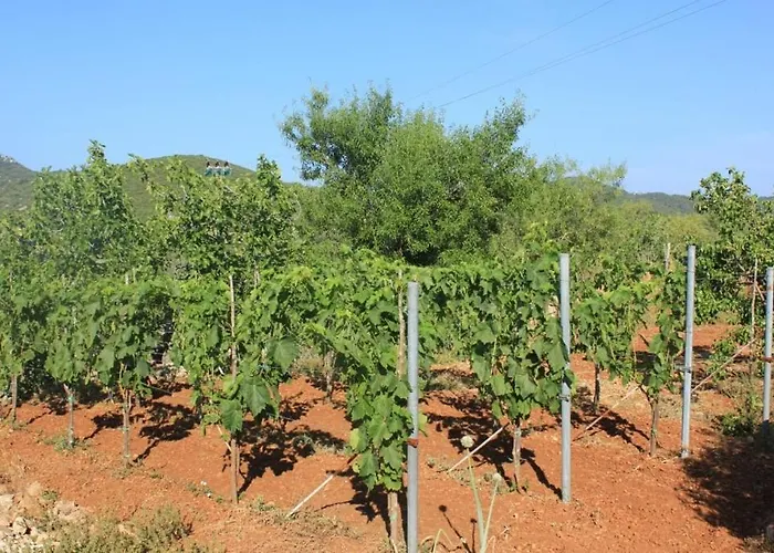 With Parking Space Zaglav, Dugi Otok - 8163 아파트 살리